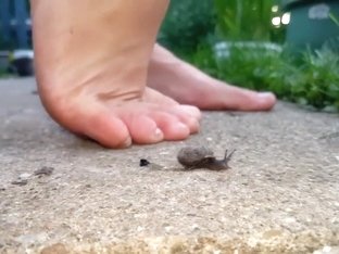 best of Bugs barefoot crushing